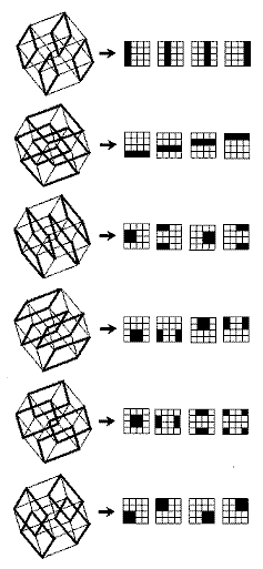 Parallel faces in the Galois tesseract